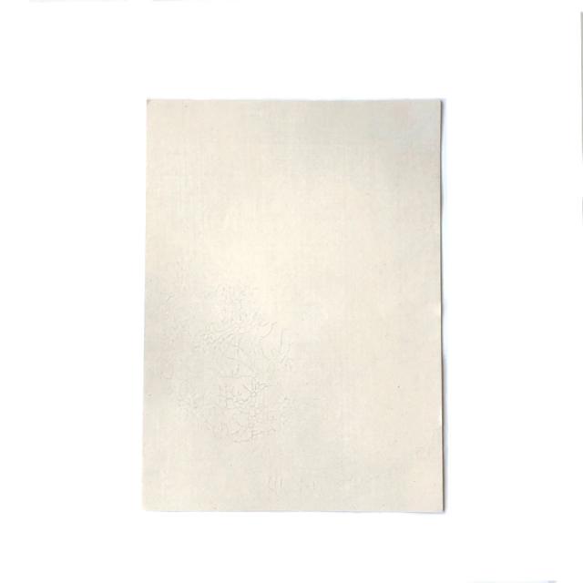 書道用紙 かな用料紙 浮草