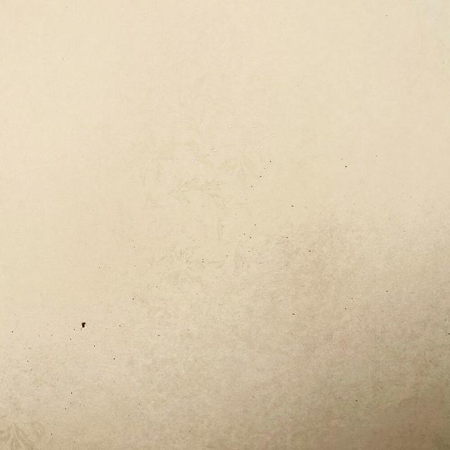 書道用紙 かな用料紙 花散里 全壊紙判