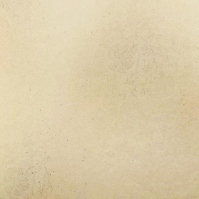 書道用紙 かな用料紙 花散里 全壊紙判