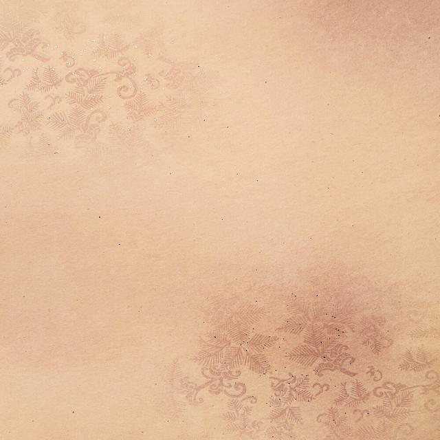 書道用紙 かな用料紙 花橘 全壊紙判