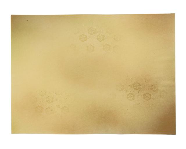 書道用紙 かな用料紙 花橘 全壊紙判