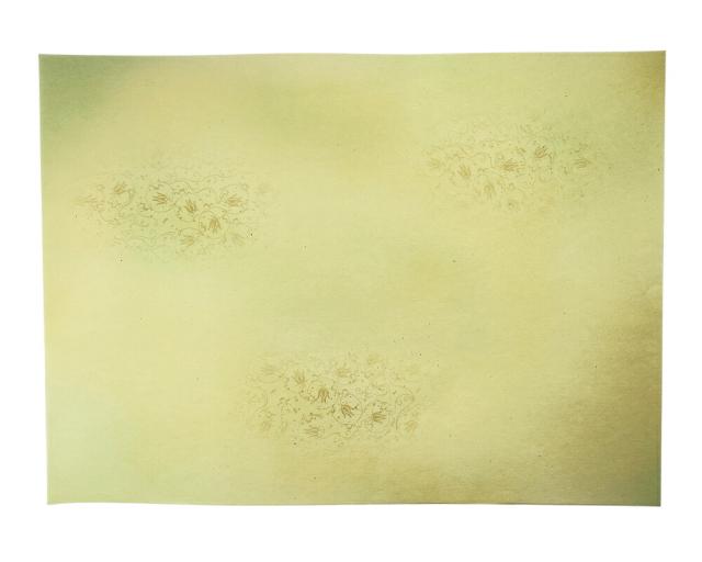 書道用紙 かな用料紙 花橘 全壊紙判