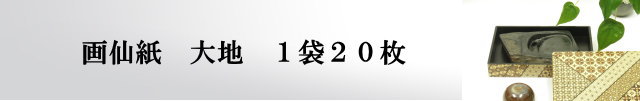 書道用紙画仙紙半切大地20枚