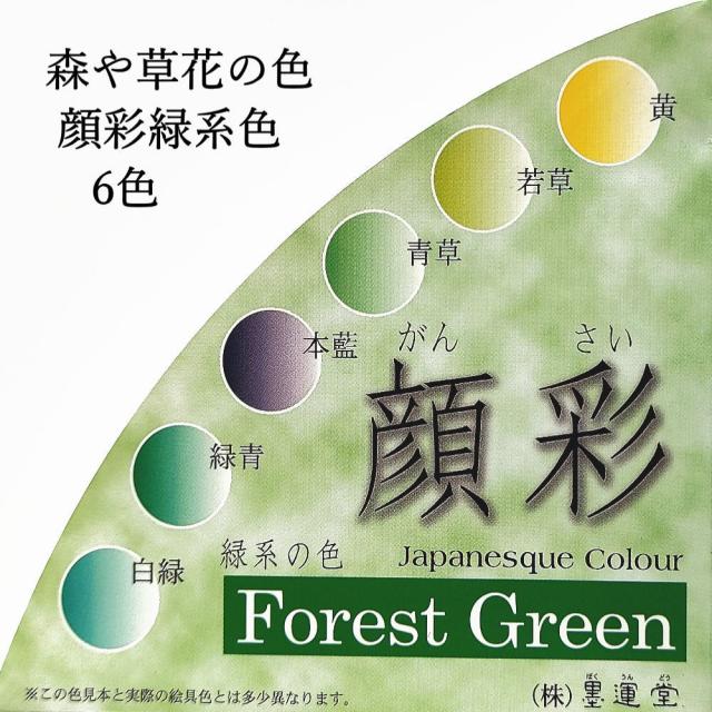 【墨運堂】 顔彩 梅皿 緑系色6色セット