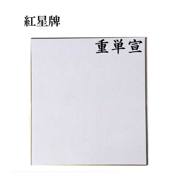 大色紙 紅星牌 重単宣 5枚セット BA23