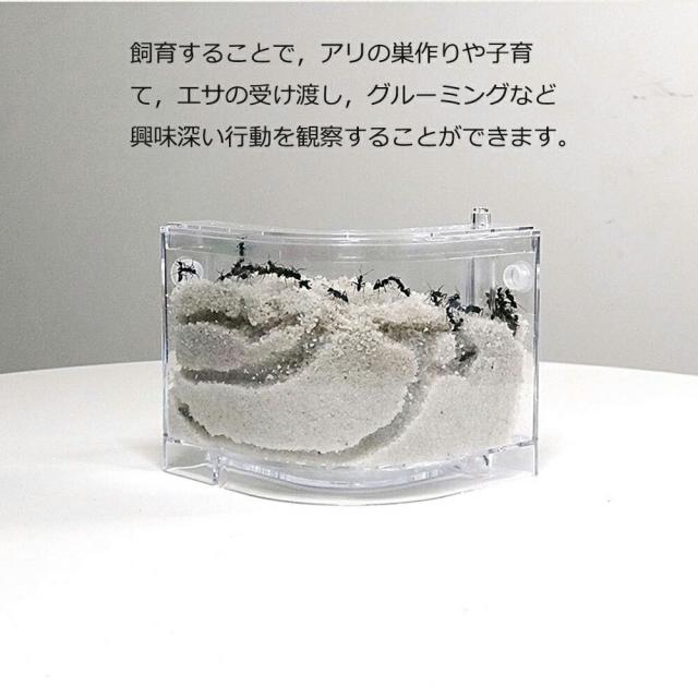商品画像2