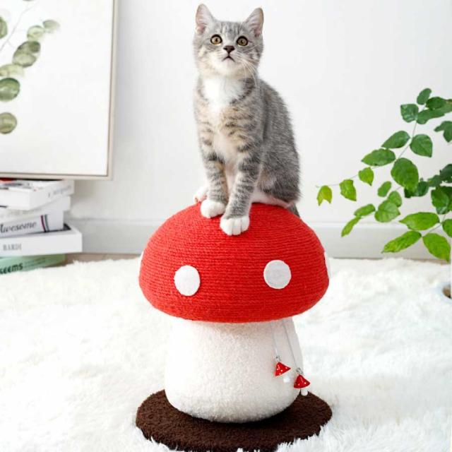 商品画像11