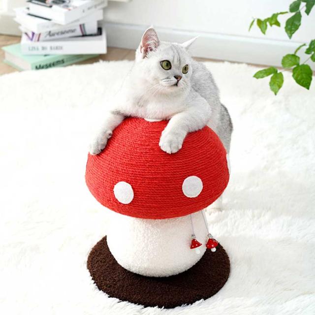 商品画像12