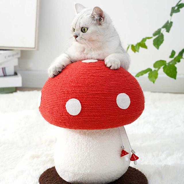 商品画像10