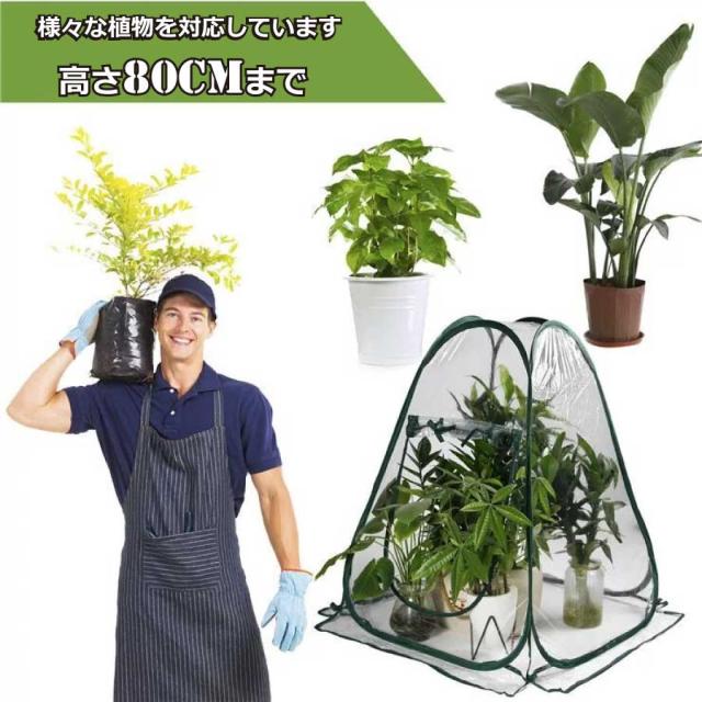 商品画像2