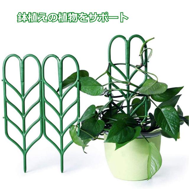商品画像2