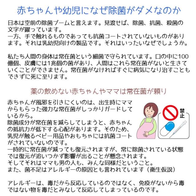 空気清浄機 ママイオンLapis ウイルス対策 小型 コンパクト 花粉対策 ハウスダスト対策 PM2.5対策 オフィス 社内 充電式 mamaion Lapis