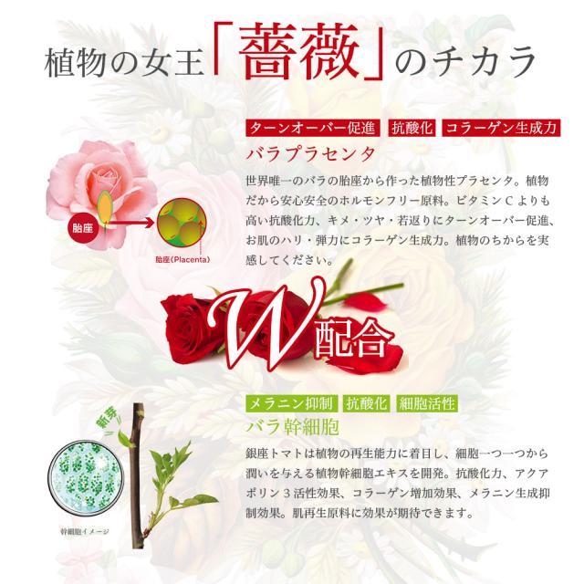 バラプラセンタ