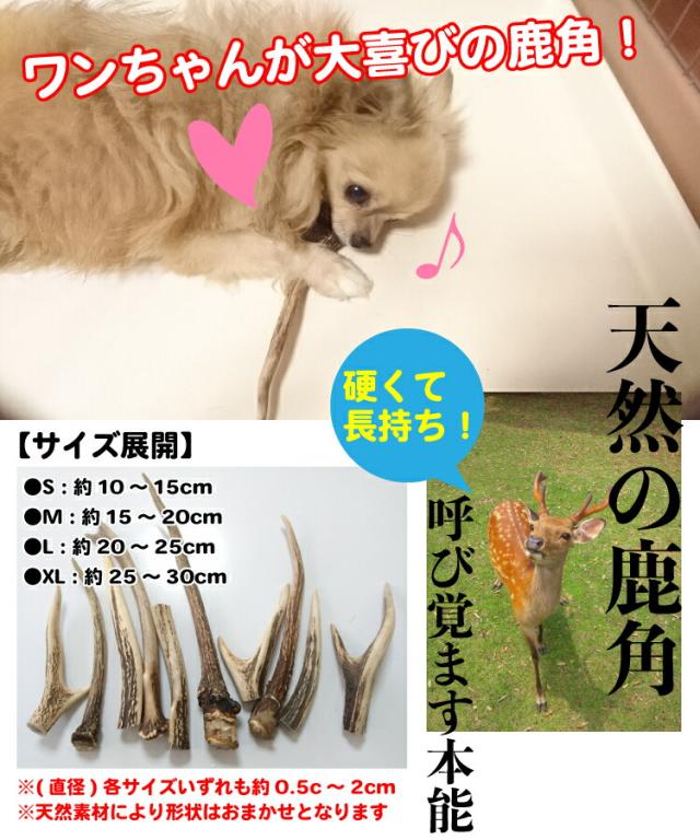 鹿角 犬 おもちゃ