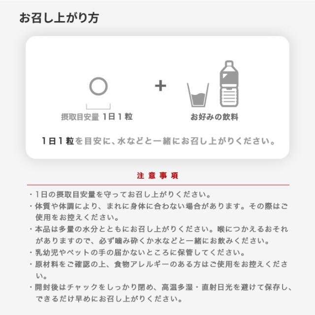 持ち運び