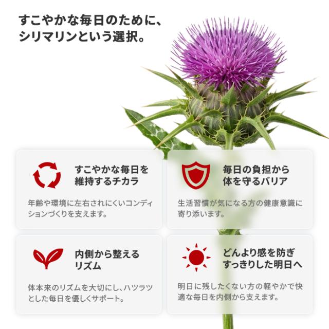 すこやかな毎日