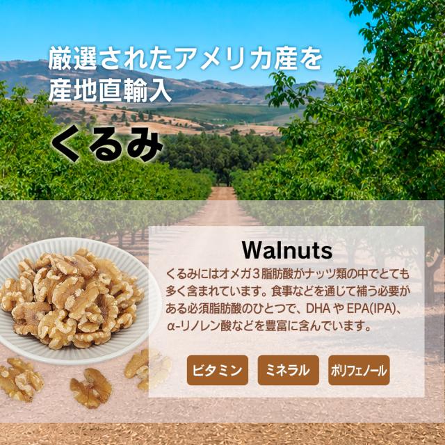 大袋