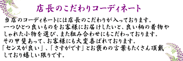 プラチナ着物セット 夏用4点 洗える小紋と正絹夏帯（絽：ブラック系