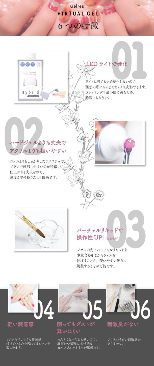 ジェリス バーチャルジェルファーストキット JVGS3000