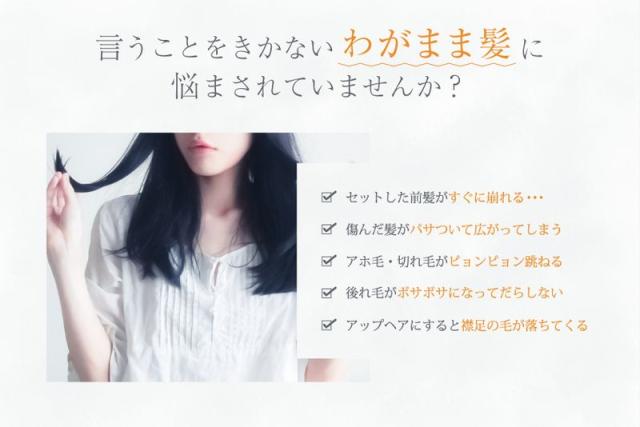 STコンテ フィクサージュレ CFJ1300