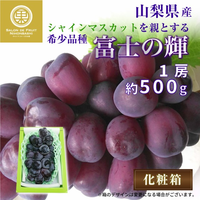 [最短順次発送] 富士の輝 1房 500g 大粒 化粧箱 ぶどう ブドウ 葡萄