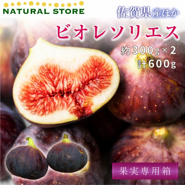 [最短順次発送] ビオレソリエス イチジク 約600g 約300g x 2 黒