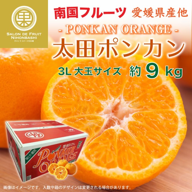 予約 12月20日-12月31日の納品] 太田ポンカン 約9kg 3L大玉 愛媛県産ほか JA全農えひめ ポンカン ぽんかん 柑橘 みかん  上級品の通販はau PAY マーケット - サロンドフルーツ au PAY マーケット店｜商品ロットナンバー：590417802