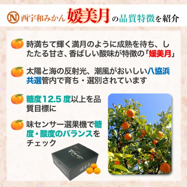 お歳暮　愛媛県産　[予約　L　11月25日-12月15日の納品]　御歳暮の通販はau　媛美月　マーケット店　PAY　au　JA西宇和　サロンドフルーツ　PAY　PAY　冬ギフト　au　約5kg　マーケット　ひめみづき　2023年　マーケット－通販サイト