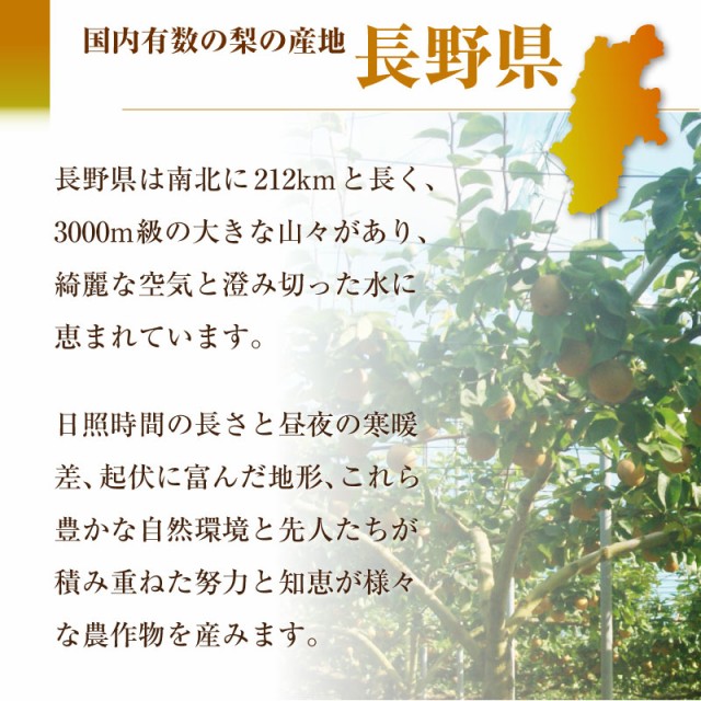 最短順次発送] 特選 太鼓判 南水 約2kg 3-7玉 長野県産 最上級等級 梨