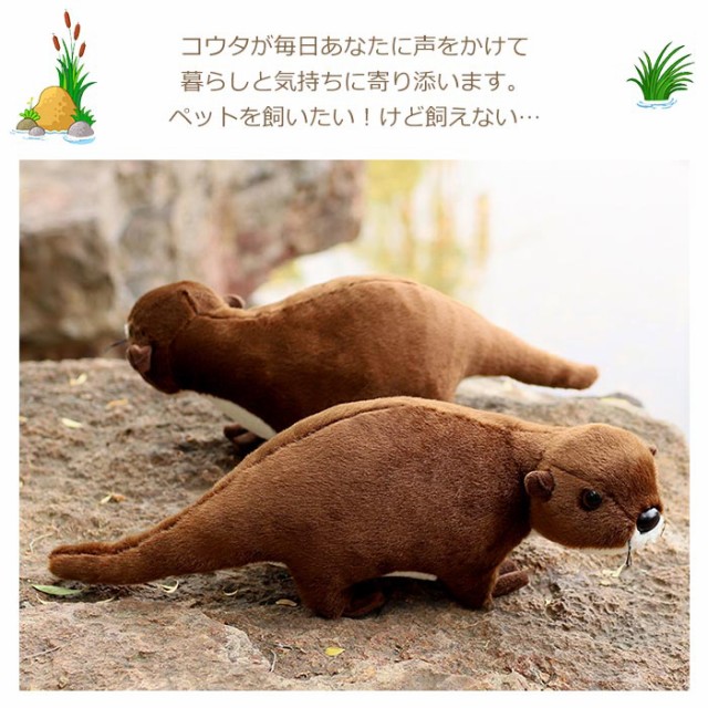 ぬいぐるみ カワウソ リアル 動物 抱き枕 本物そっくり コツメカワウソ