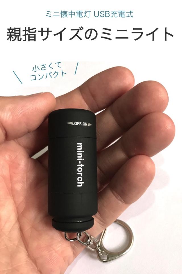 USB充電式 黒色 懐中電灯 Amazon.co.jp : YZYOE充電可能なブラックライト 蛍光灯 395
