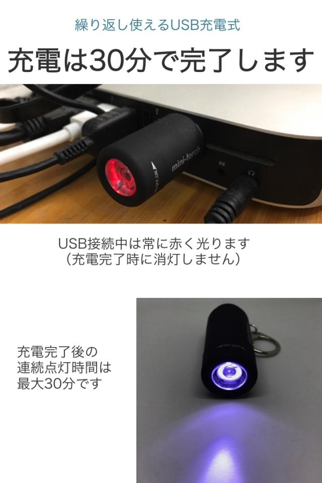 ミニ 懐中電灯 USB充電式 黒 ライトキーホルダー ハンディライト