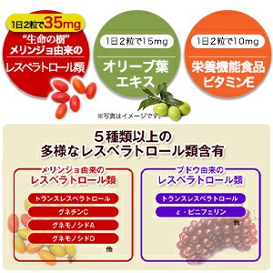 山田養蜂場 送料無料 レスベラトロール プラス 62粒 ボトル入 栄養機能