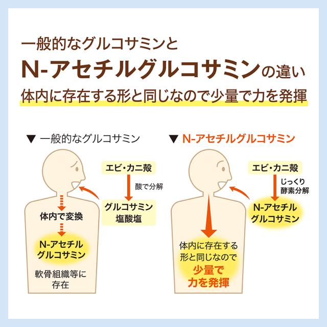 関節ケア グルコサミン