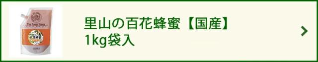 里山の百花蜂蜜【国産】 1kg袋入