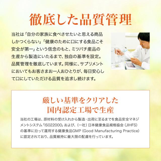 イチョウ葉+バコパ 90球/袋入