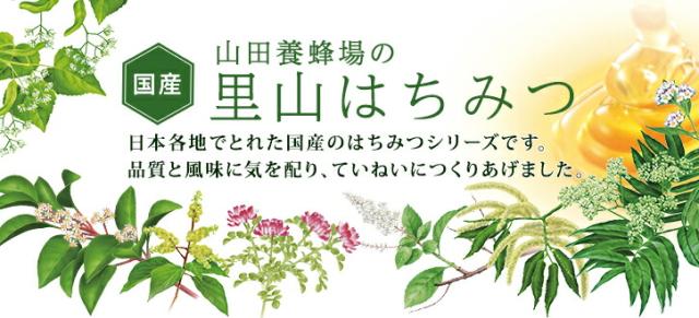 山田養蜂場の里山はちみつ