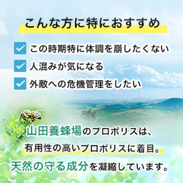 プロポリスマイルド