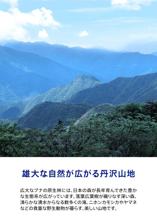 新水想い 2L×9本