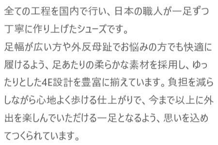 【靴のHOSHIKAWA】  『AMORA 800』 アモーラ ミドルブーツ 21.5cm〜24.5cm 5E レディース ブラック カジュアル ファスナー サイドゴア レース 日本製 本革 幅広 秋冬