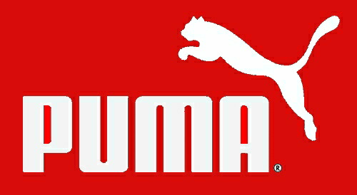【靴のHOSHIKAWA】  『PUMA 383023 17』 プーマ ビッキー V3 22.5cm〜25cm  レディース スニーカー ローカット レースアップ 軽い オールシーズン