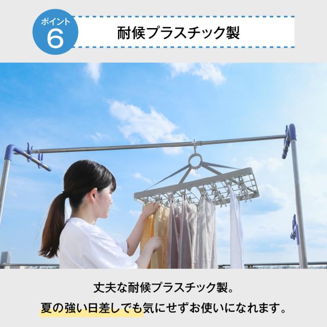 ピンチハンガー・カシャリア