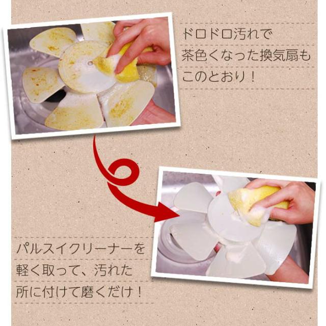 パルスイクリーナー