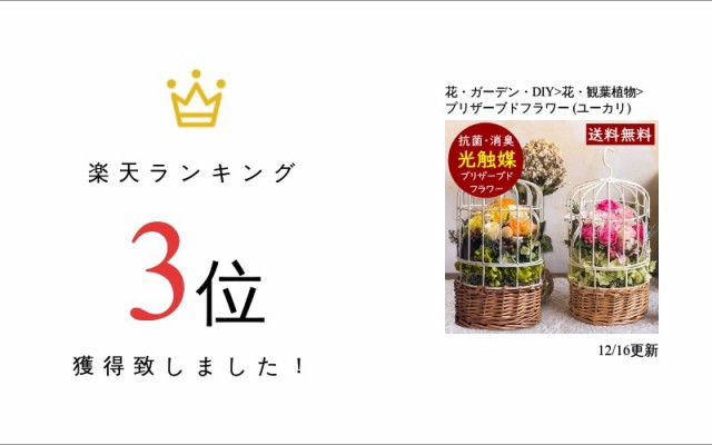 チャンピオン 結婚祝い 花 プレゼントプリザーブドフラワー ギフト 電報 結婚式 祝電 退職祝い 誕生日プレゼント おしゃれ 花 女友達 母親 女性 義母 速達メール便送料無料 Www Flixel Org