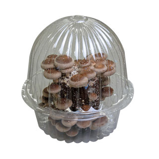 菌床栽培用きのこカバーＡ