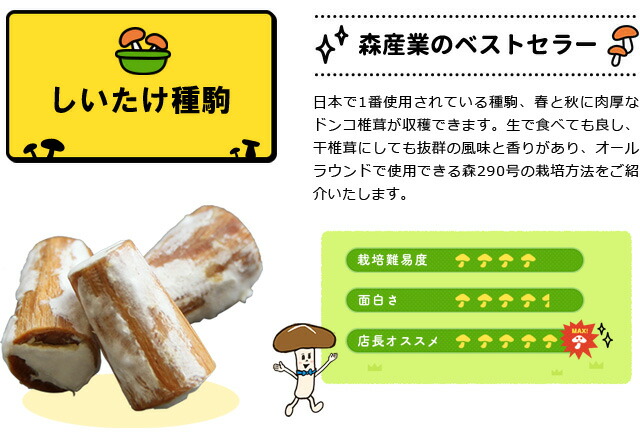 しいたけ種駒の難易度