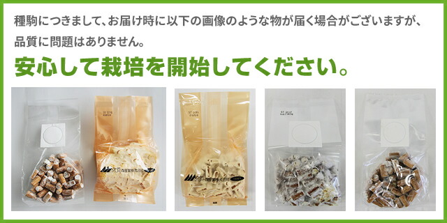 安心して栽培を開始してください