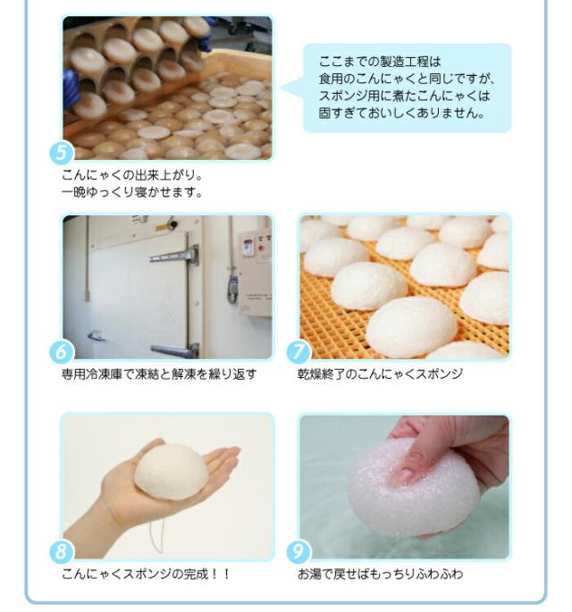 パパあらってこんにゃくスポンジ