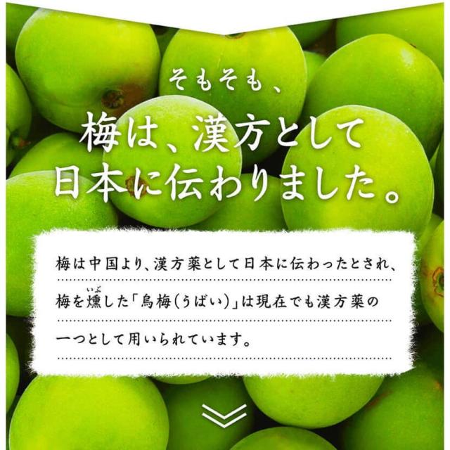 梅肉エキス 梅肉エキス