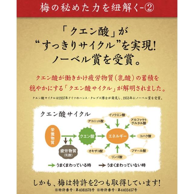 クエン酸 クエン酸